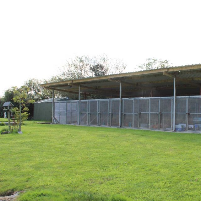Tír na nÓg Boarding Cattery - Gorey, Wexford - Accommodation