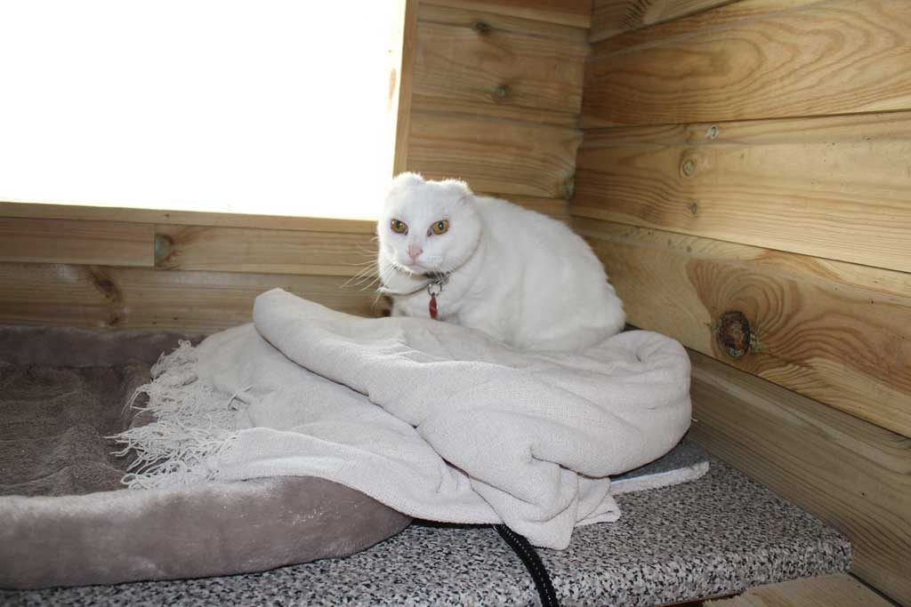 Tír na nÓg Boarding Cattery - Accommodation 3
